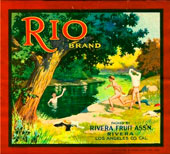 Rio brand