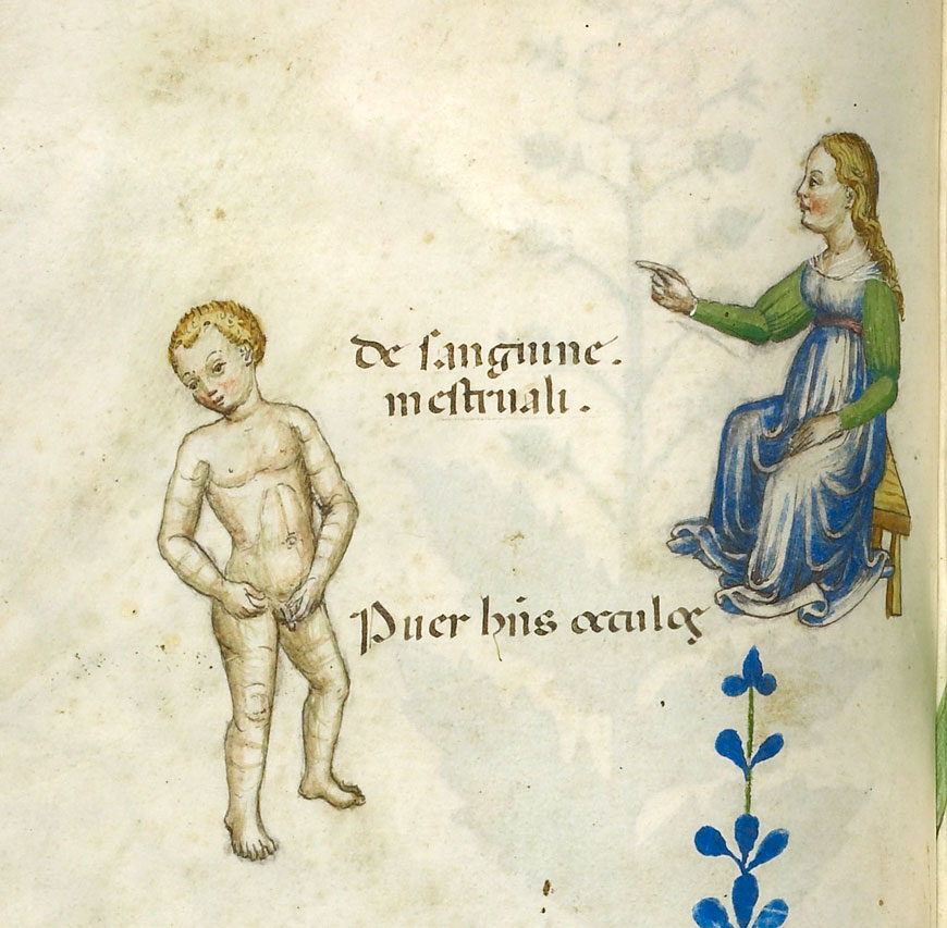 illustration from a latin medical treatise of urinary problems and menstruation / f. 44v of Herbal (иллюстрация из латинского медицинского трактата о проблемах мочеиспускания и менструации), XVI