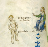 f. 44v of Herbal