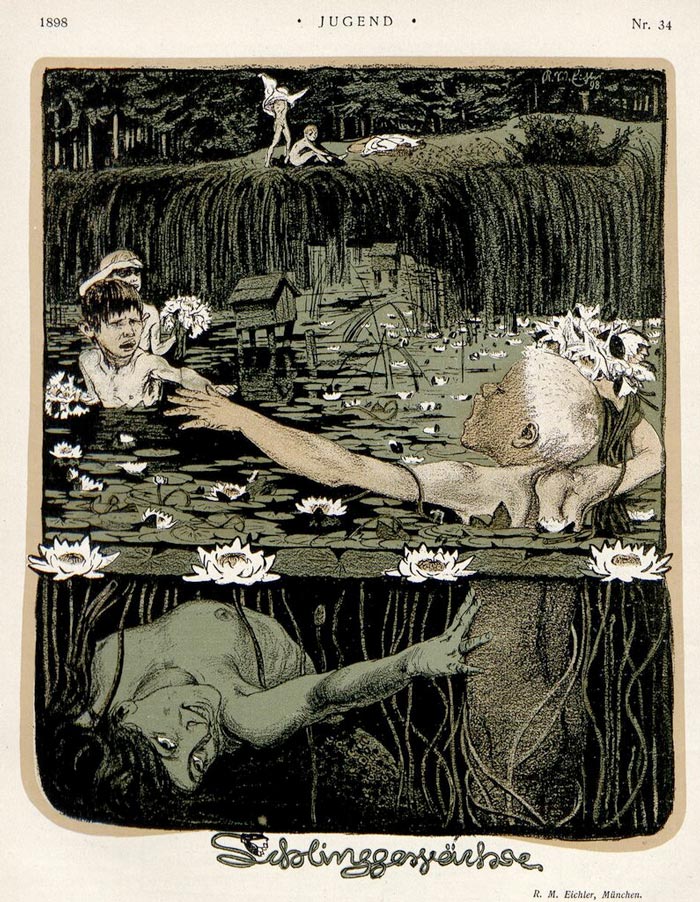 Schlinggewachse (Вьющиеся водные растения)