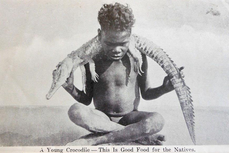 A young crocodile — This is good food for the Natives (Молодой крокодил — это хорошая еда для местных аборигенов), 1940s 