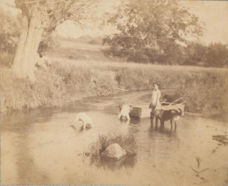 Three Children and a Dog Playing in the Creek (Трое детей и собака, играющая в ручье), July 4, 1883