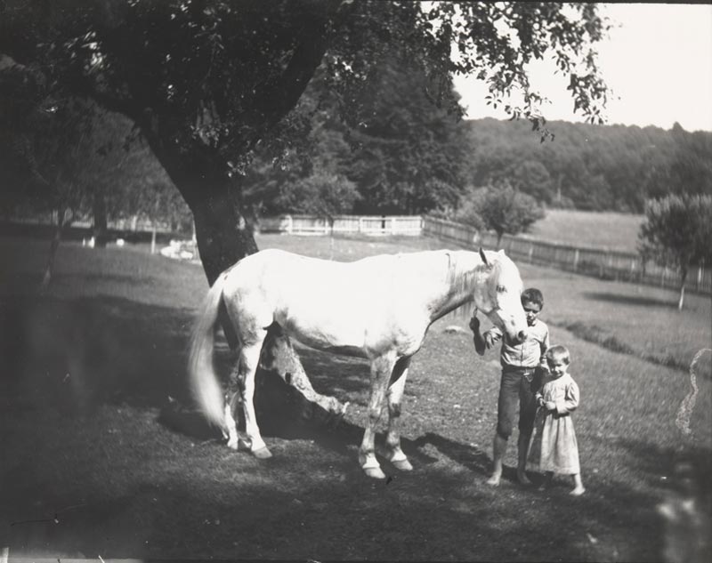 Thomas Eakins's horse Billy and two Crowell children (Лошадь Томаса Икинса Билли и двое детей Кроуэллов), 1892