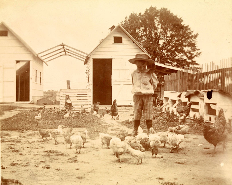 Boy with chickens in farmyard (Мальчик с цыплятами во дворе фермы), c.1883