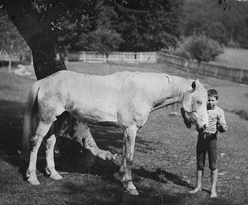 Eakins' Nephew with the Horse called 'Billy' (Племянник Икинса с лошадью по кличке 'Билли'), 1892