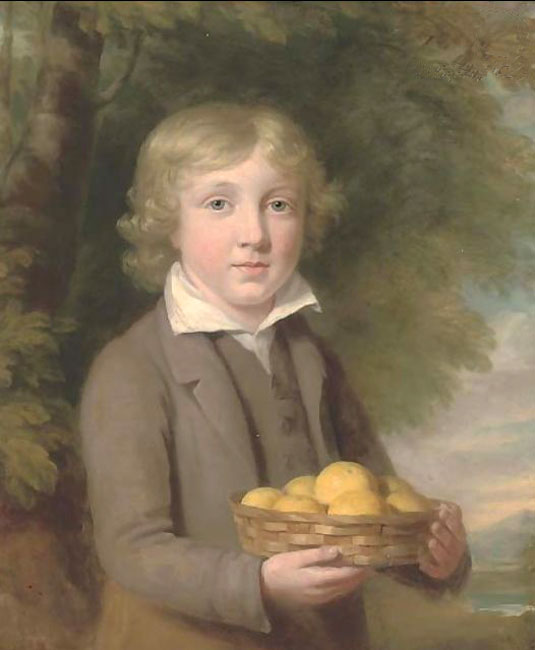 Portrait of a boy, half-length, wearing a brown suit and holding a basket of apples (Портрет мальчика по пояс, одетого в коричневый сюртук, держащего корзину с яблоками)