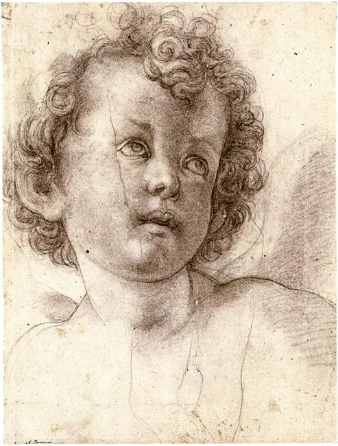 Head of a Curly-Haired Child Looking Up to the Right (Голова кудрявого ребенка, смотрящего вверх и вправо), c.1527