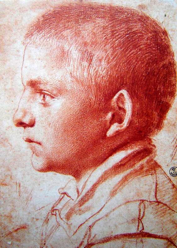 Profile portrait of a boy (Портрет мальчика в профиль), 1584-1585