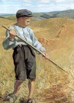 A young boy raking hay (Мальчик, сгребающий сено)