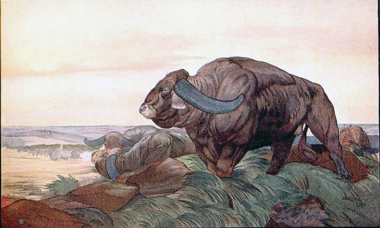 The Return of the Buffalo Herd (Возвращение стада Баффало)