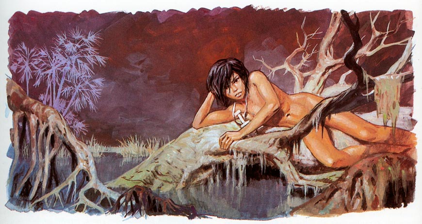 LE LIVRE DE LA JUNGLE (HISTOIRE DE MOWGLI) * КНИГА ДЖУНГЛЕЙ (ИСТОРИЯ МАУГЛИ)