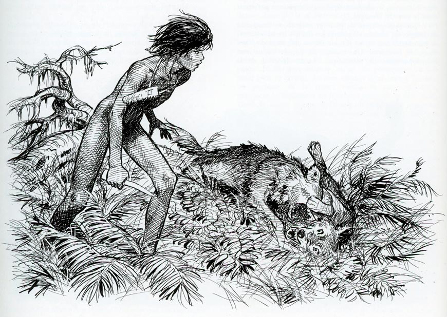 LE LIVRE DE LA JUNGLE (HISTOIRE DE MOWGLI) * КНИГА ДЖУНГЛЕЙ (ИСТОРИЯ МАУГЛИ)