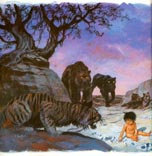 Le Livre de la Jungle (Histoire de Mowgli) * Книга Джунглей (История Маугли)