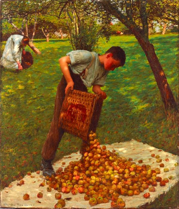 Cider apples (Яблоки для сидра), 1899