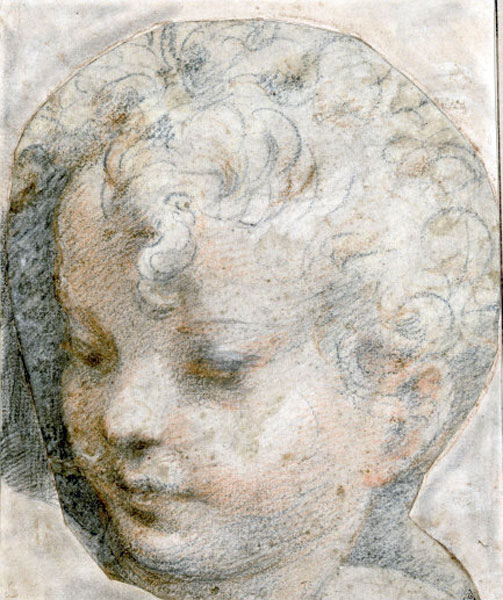 Head of the Christ Child (Голова Иисуса Христа-ребёнка), 1526-1527