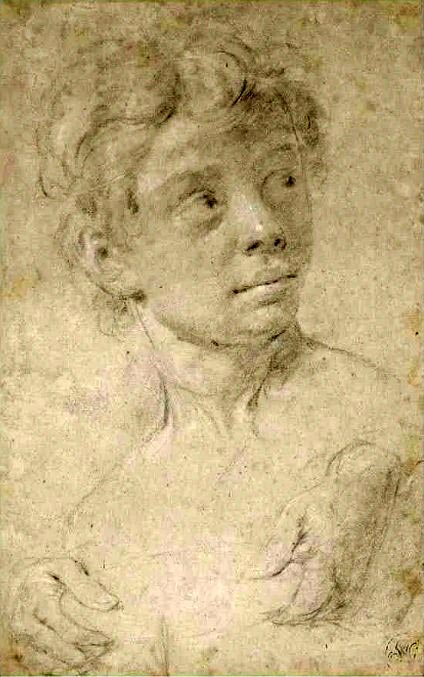 Study of the head and shoulders of a boy and of hands holding a dish (Эскиз головы и плеч мальчика и рук, держащих блюдо)