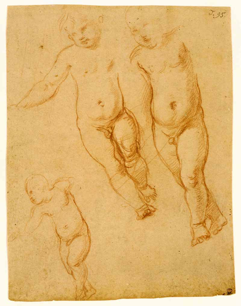 Studies of the Christ Child (Эскизы Христа-ребёнка), 1513-1514