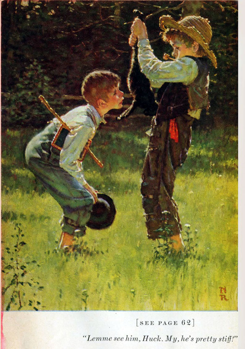 The Adventures of Tom Sawyer and Huckleberry Finn