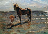 Bathing horse