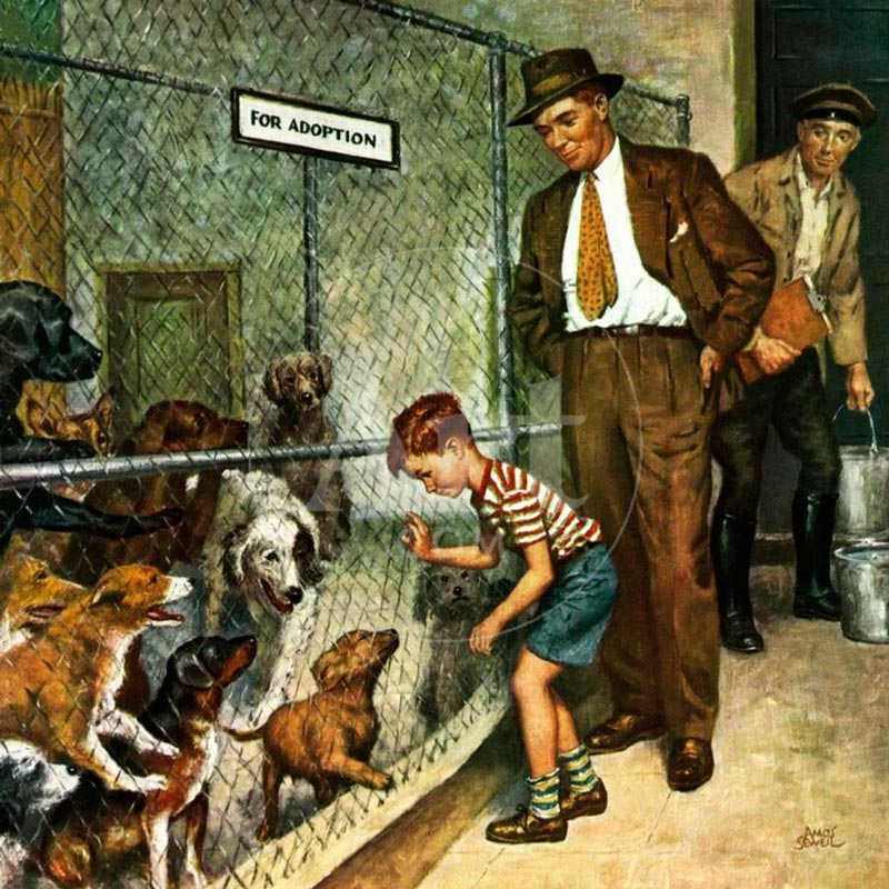 Dog Pound (Приют для животных), 1949