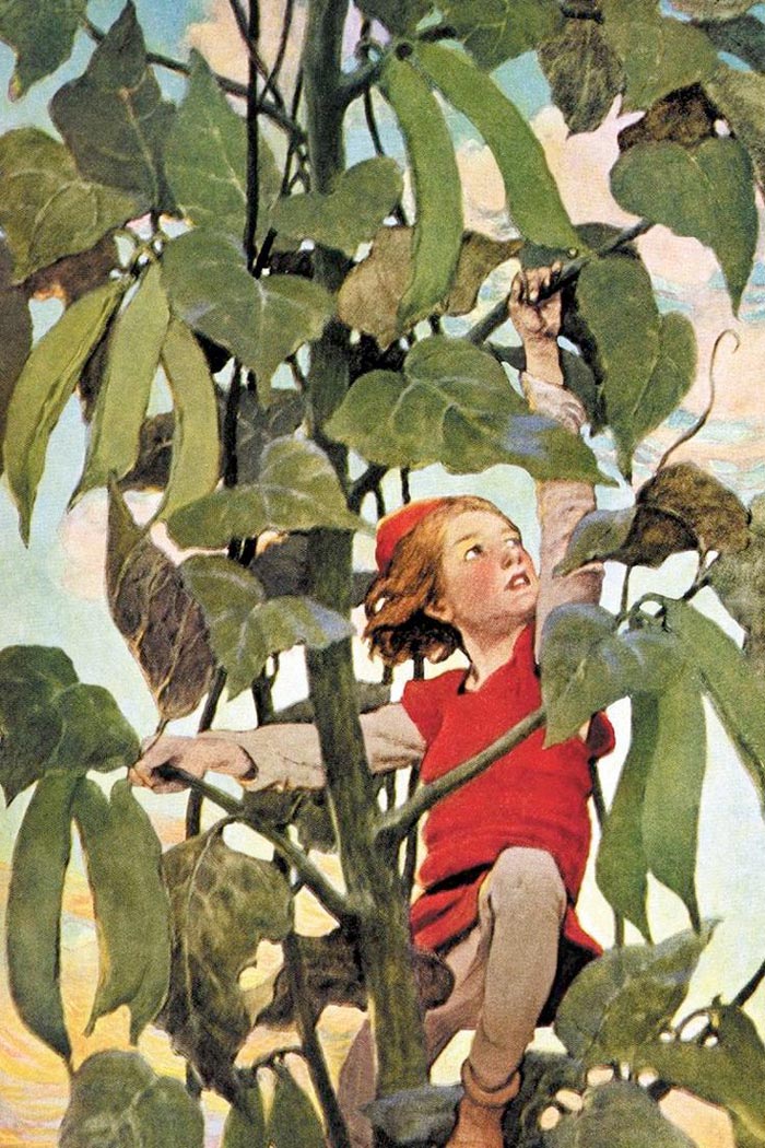 «Jack and the Beanstalk / Джек и бобовый стебель», 1911