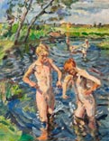 Окунание в воду реки Дрентсе