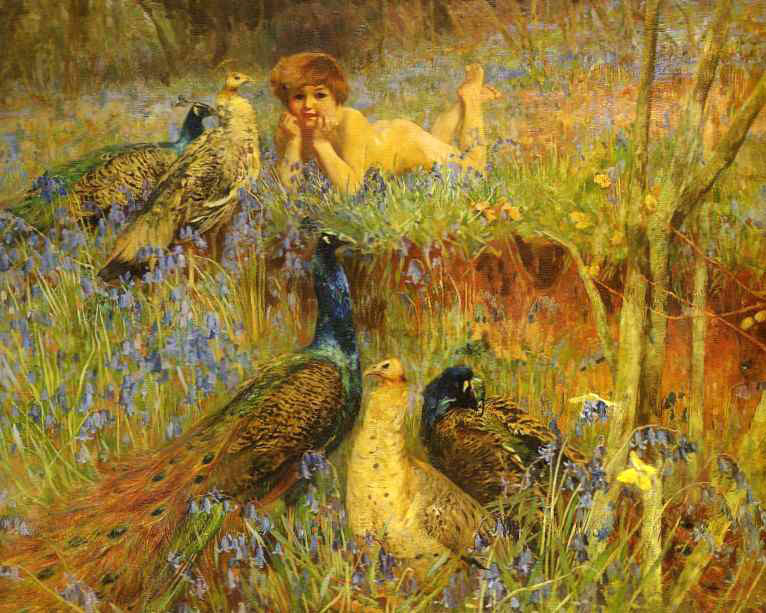 Bluebells and Peacocks (Колокольчики и павлины)