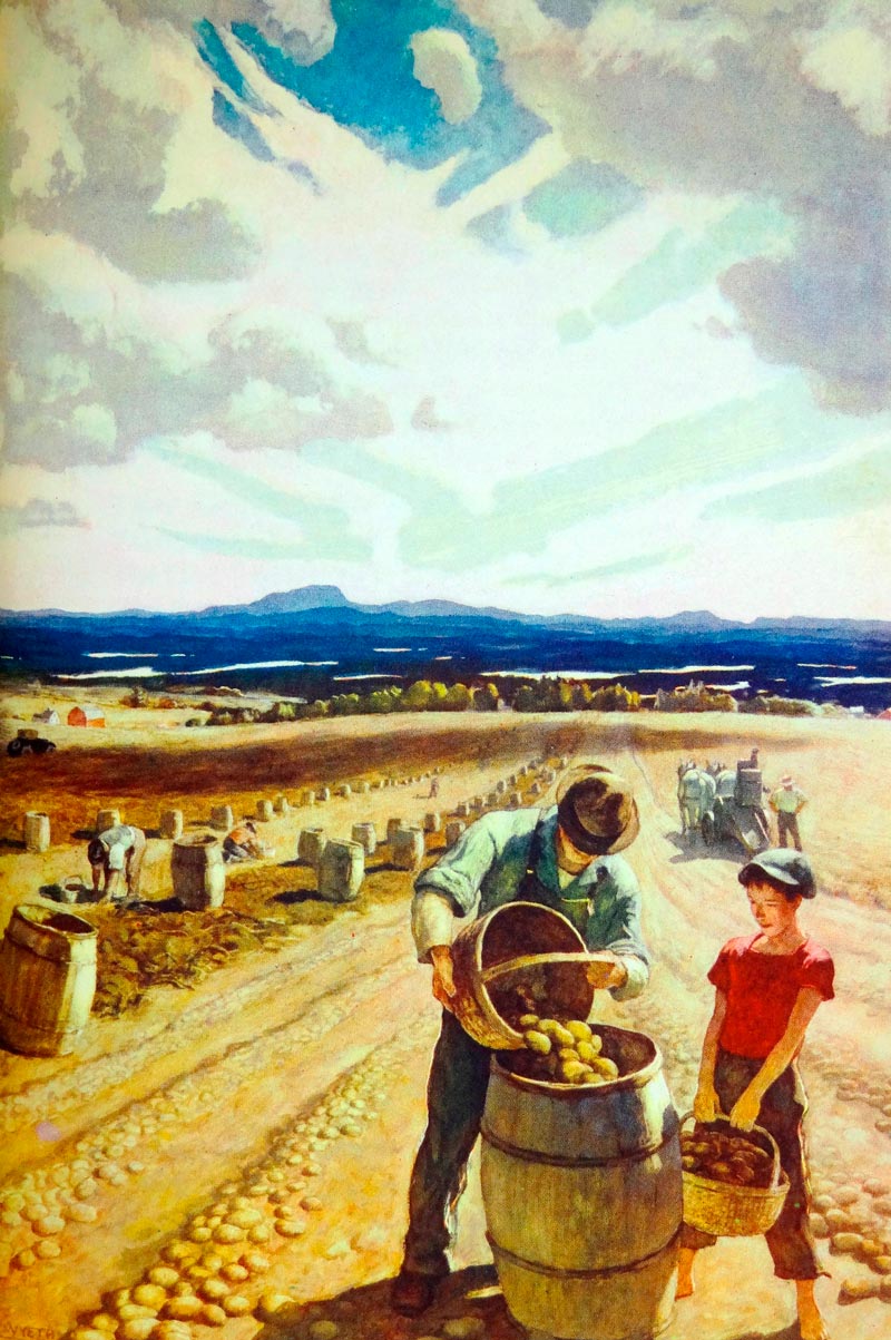 Aroostook Potato Harvest (Урожай картофеля в Арустуке)