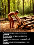 ДровоСекс