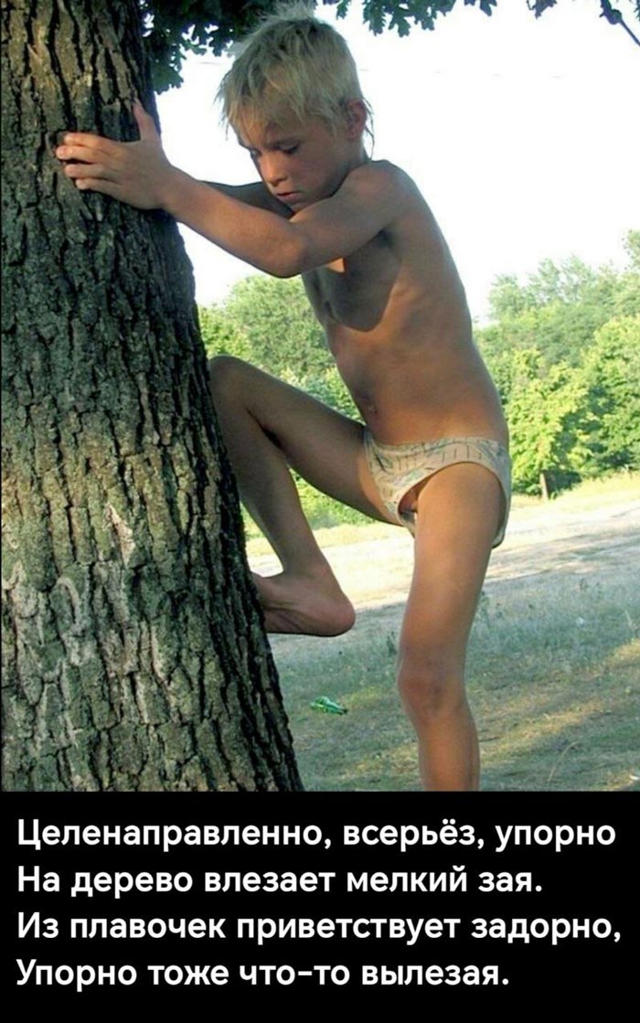 Упорство