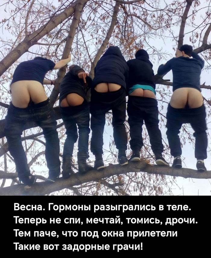 Грачи прилетели!