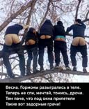 Грачи прилетели!