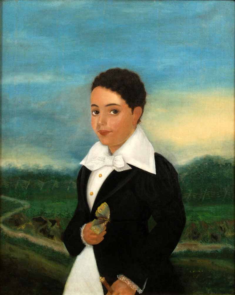 Creole Boy With A Moth (Мальчик-креол с ночной бабочкой), 1835