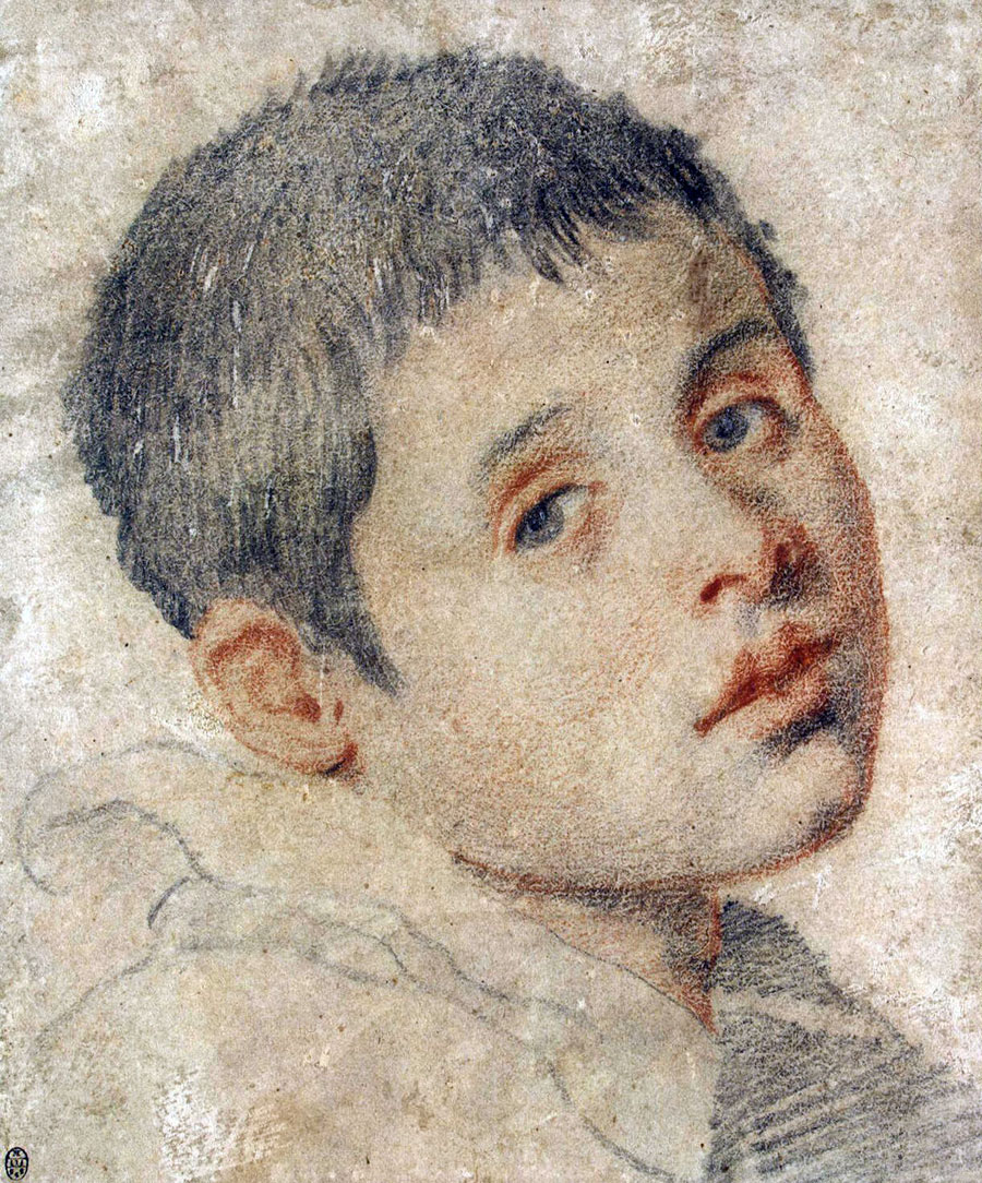 Head of a Boy (Голова мальчика), Early 17th century