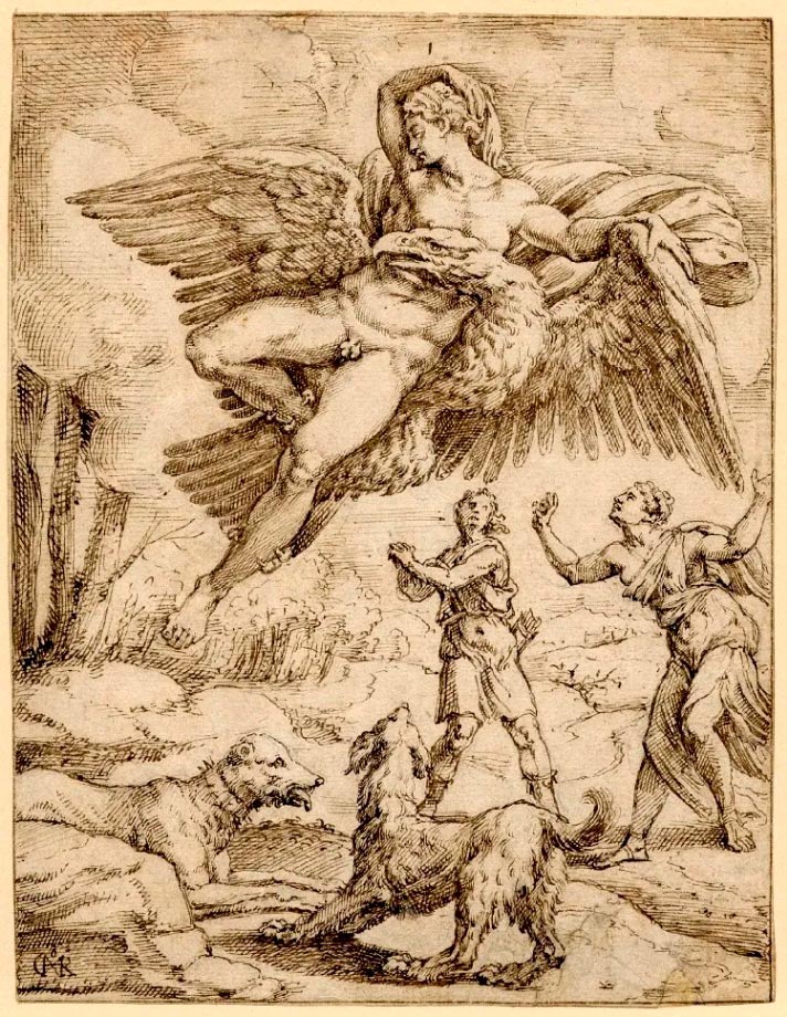 The abduction of Ganymede (Похищение Ганимеда)