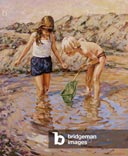 Скальная лужа