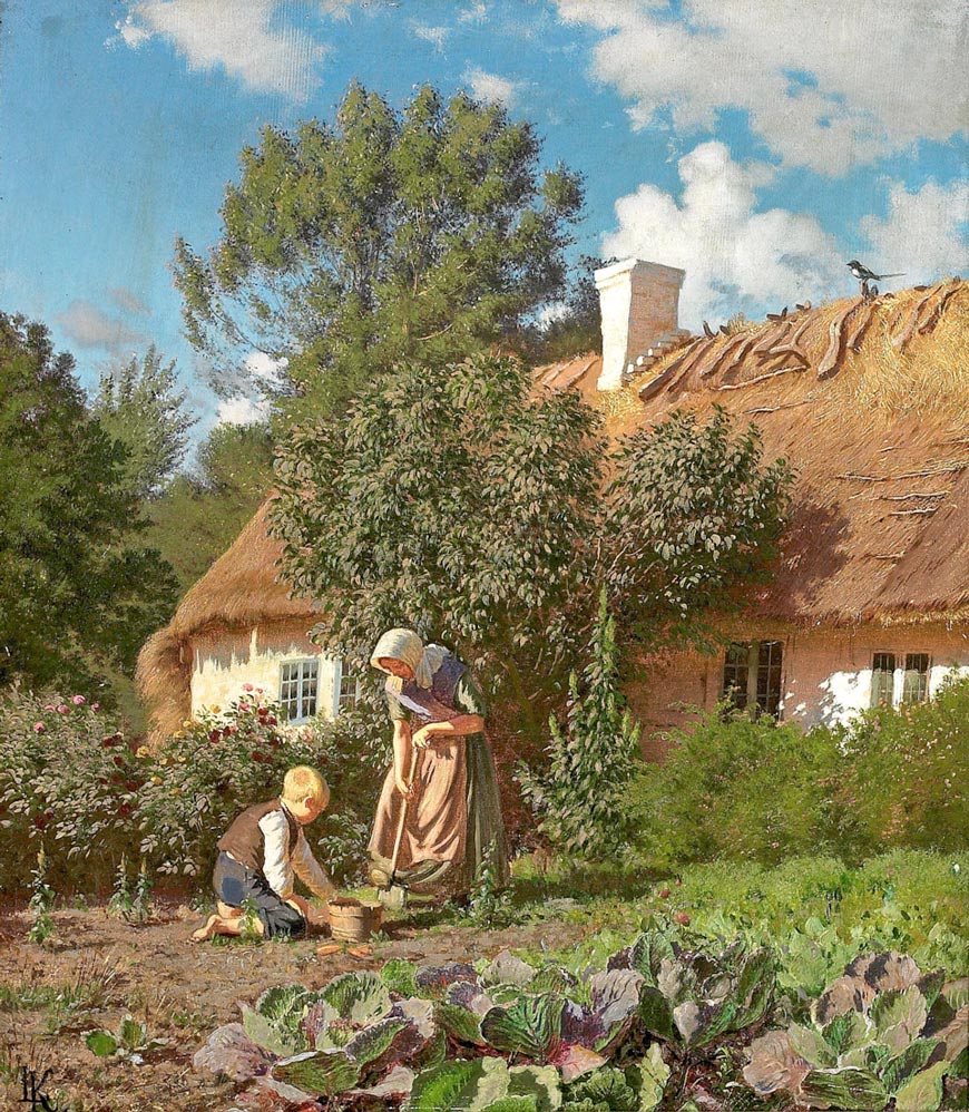 Opgravning af gulerødder i køkkenhaven fra et hus i Næstelsø (Выкапывание моркови в огороде возле дома в Нестельсё)