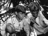 Lord of the Flies (Повелитель мух), 1961