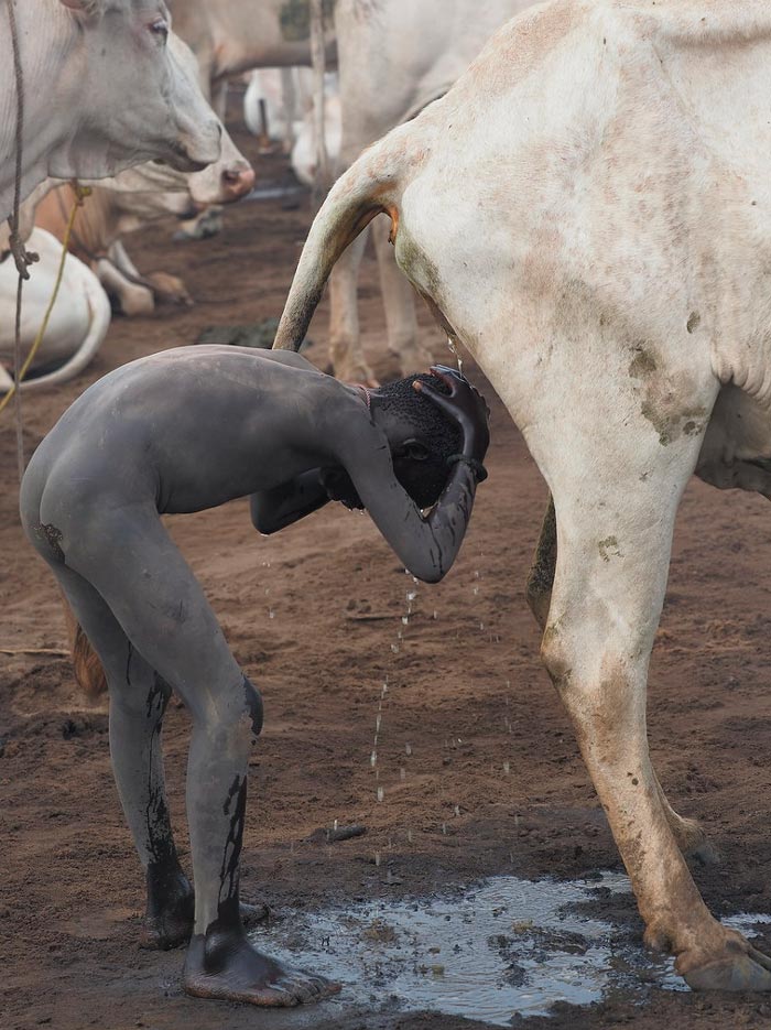 Naked Mundari boy squatting under a stream of cow urine (Голый мальчик мундари присел под струей коровьей мочи), 2022