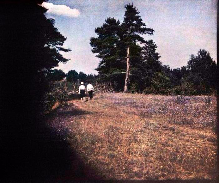 Через поля. Финляндия (Through the fields. Finland)