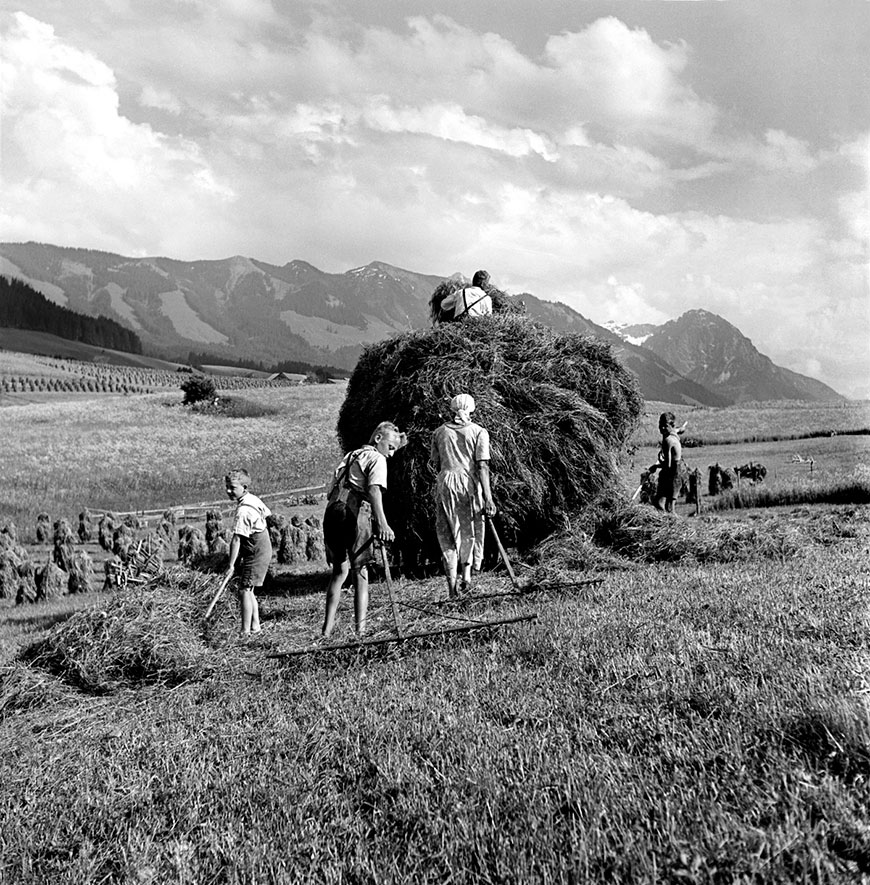 Heuernte mit der ganzen Familie (На сенокосе всей семьёй), 1938