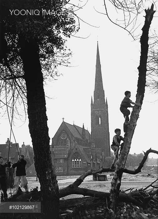 Boys swing on and climb trees (Мальчики, качающиеся и карабкающиеся на дерево), 1966