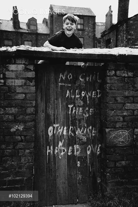 Smiling boy climbs back yard gate (Улыбающийся мальчик, карабкающийся на заднюю калитку), 1966