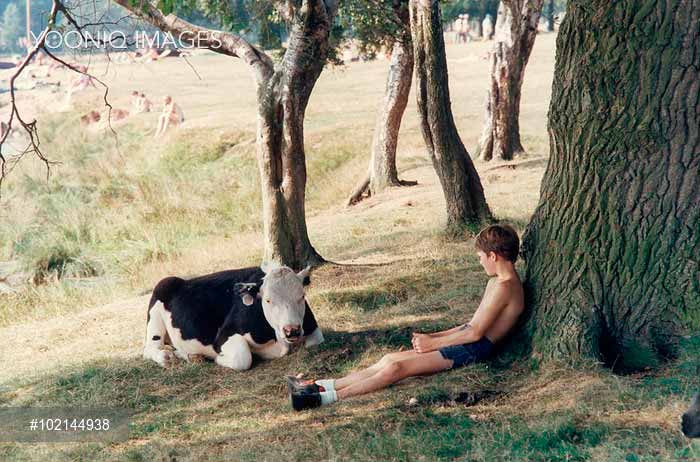 Boy sits under a tree with a young cow (Мальчик, сидящий под деревом с телёнком)