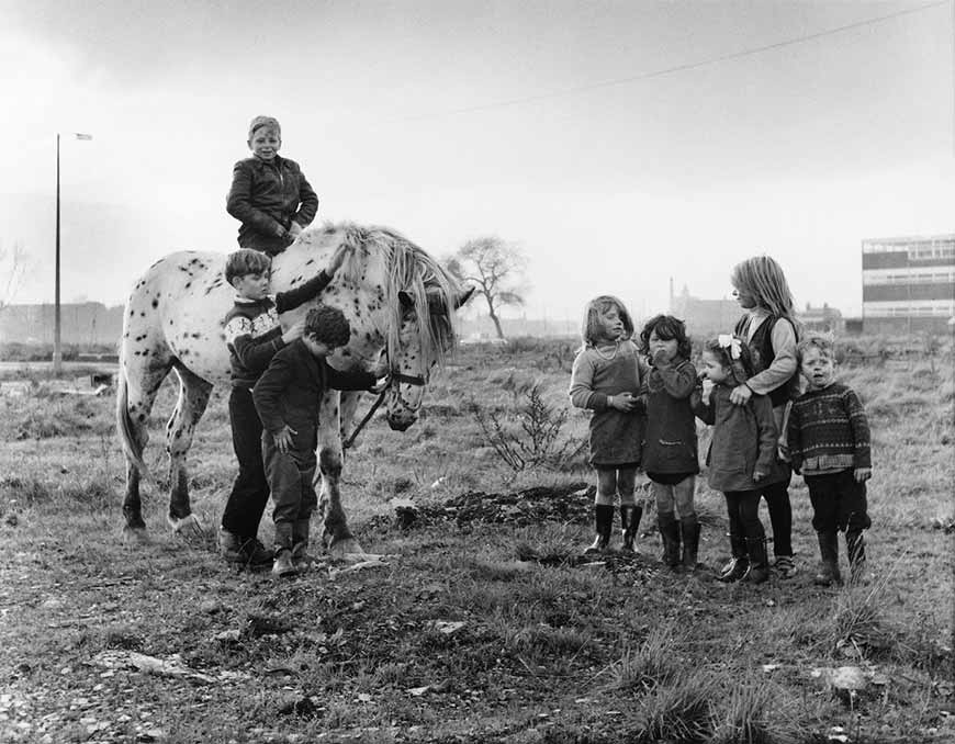 Traveller children with piebald horse (Цыганские дети с пегой лошадью)