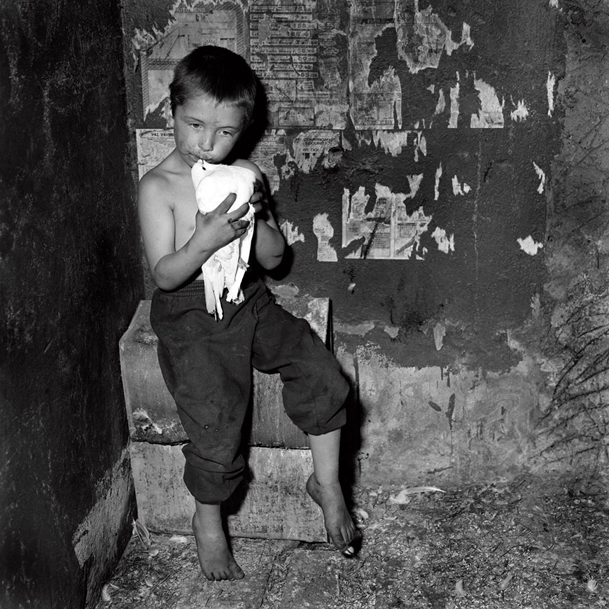 Child in Bird Coop (Ребёнок в голубятне), 1998