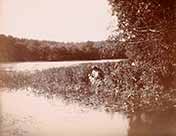 The Boy Castaways of Black Lake Island, 1901