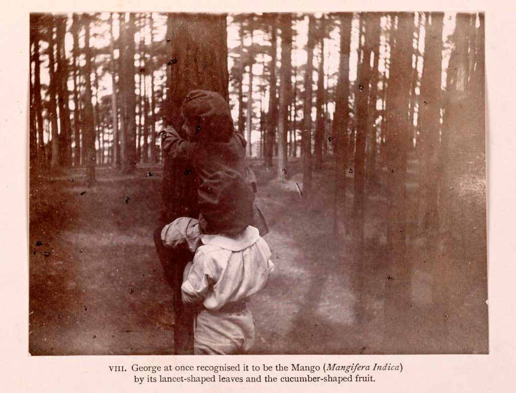 The Boy Castaways of Black Lake Island, 1901