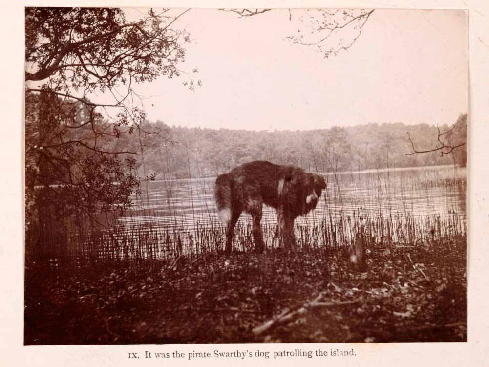 The Boy Castaways of Black Lake Island, 1901