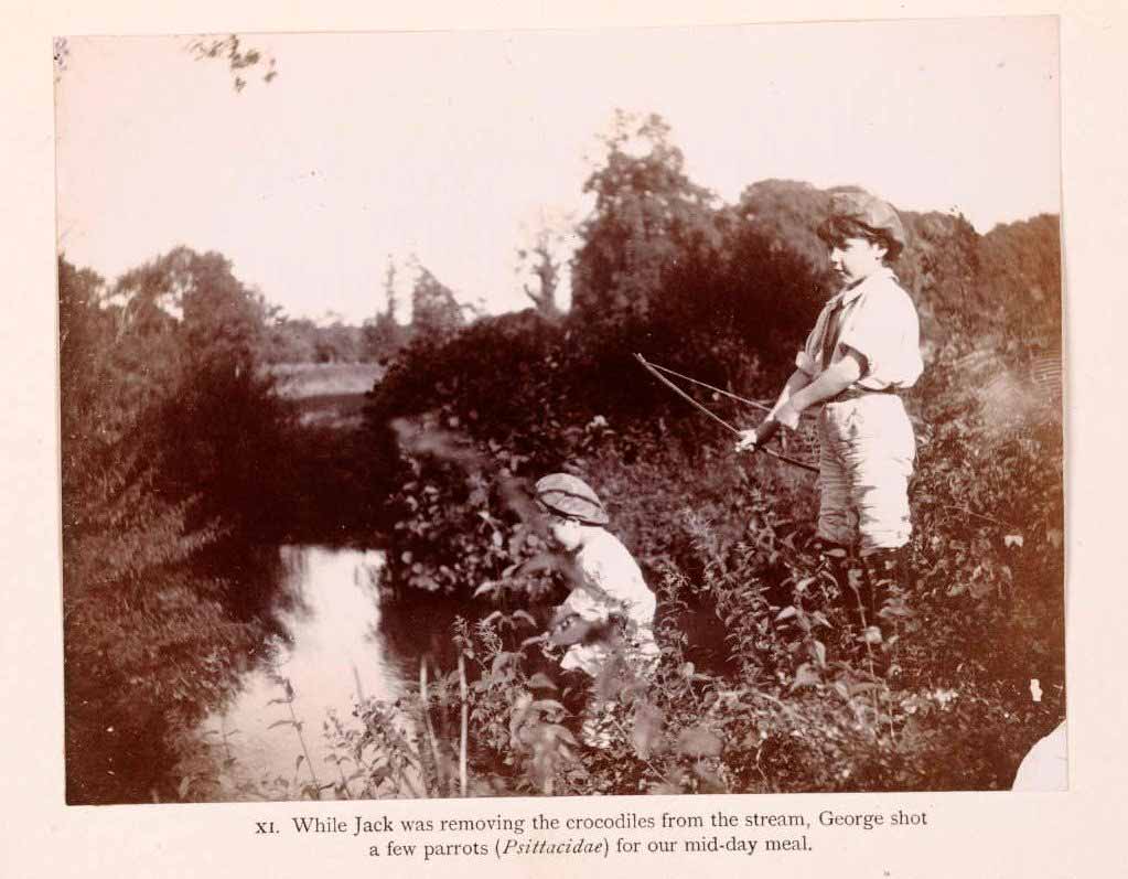 The Boy Castaways of Black Lake Island, 1901